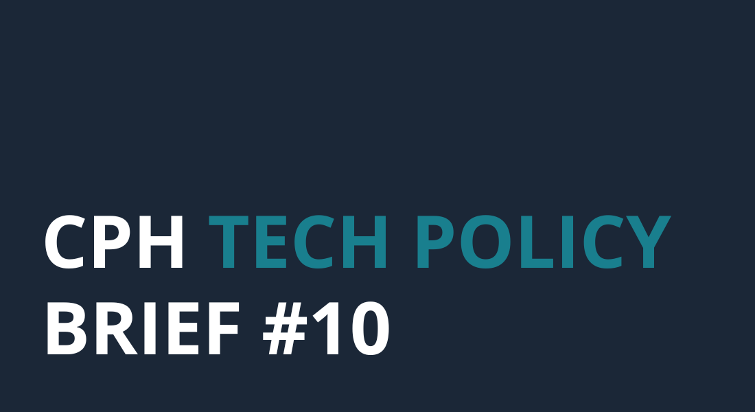 Tekst Tech Policy Brief 10