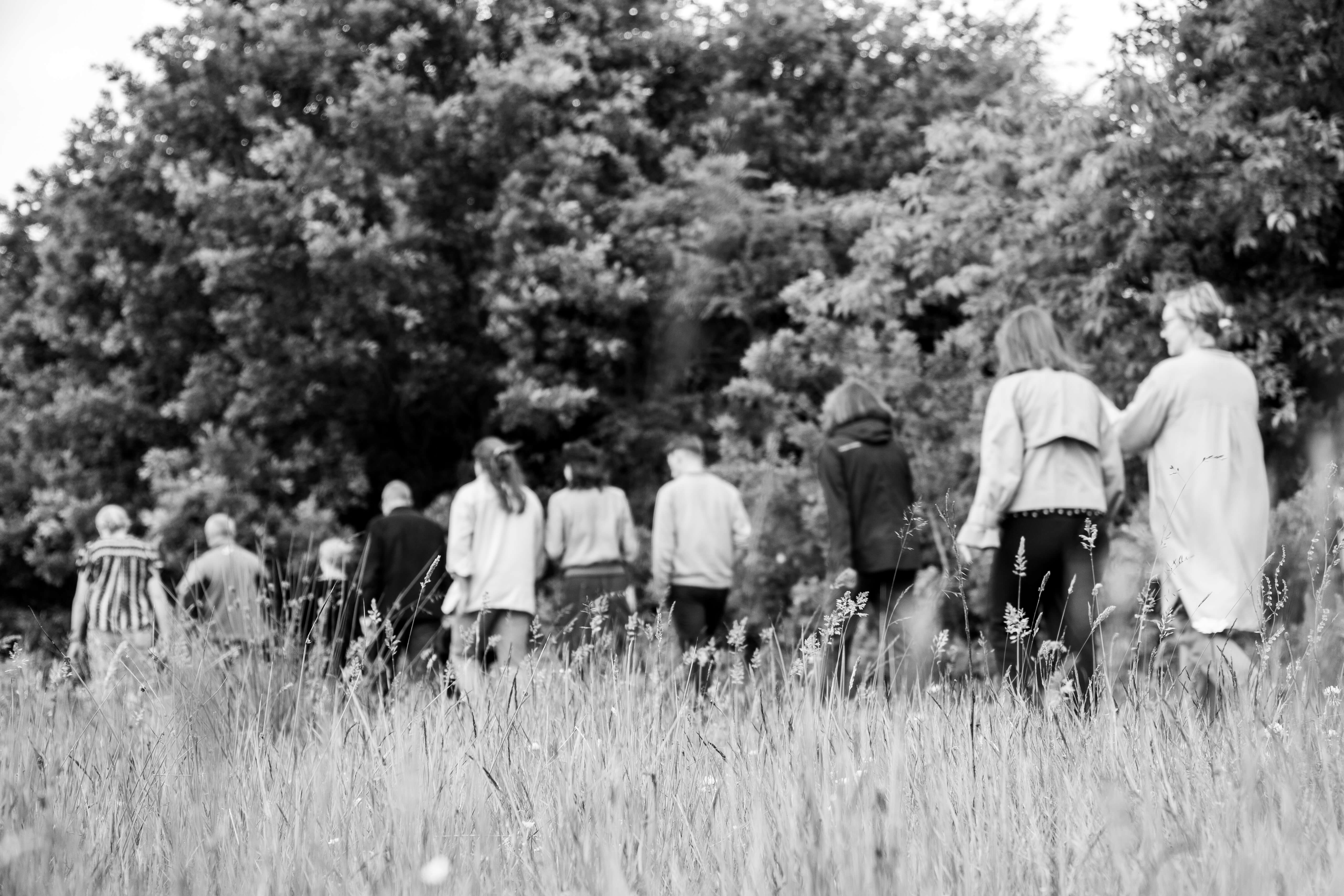 A group of people walking together in a natural outdoor setting