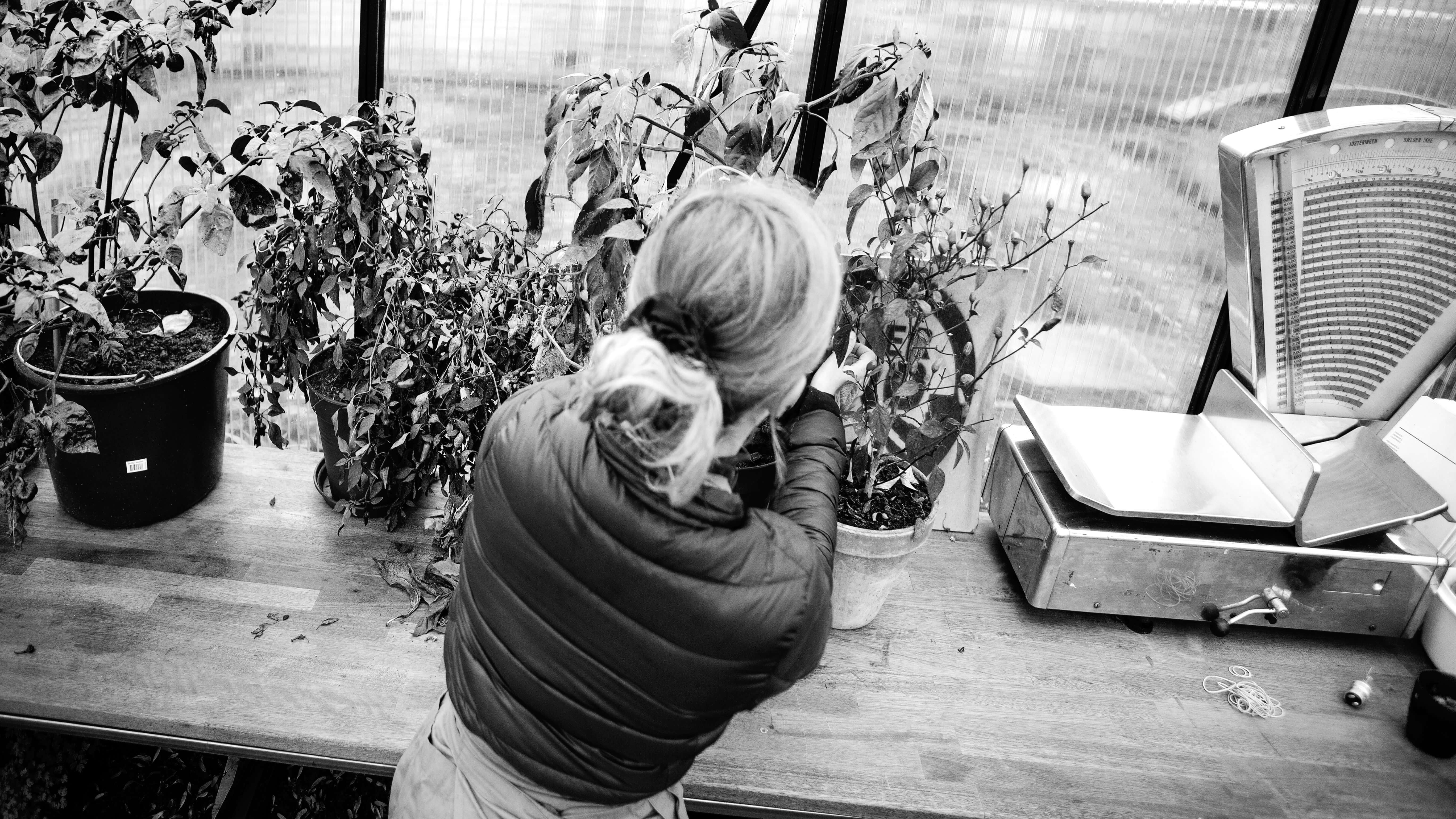 Kvinde ser til planter